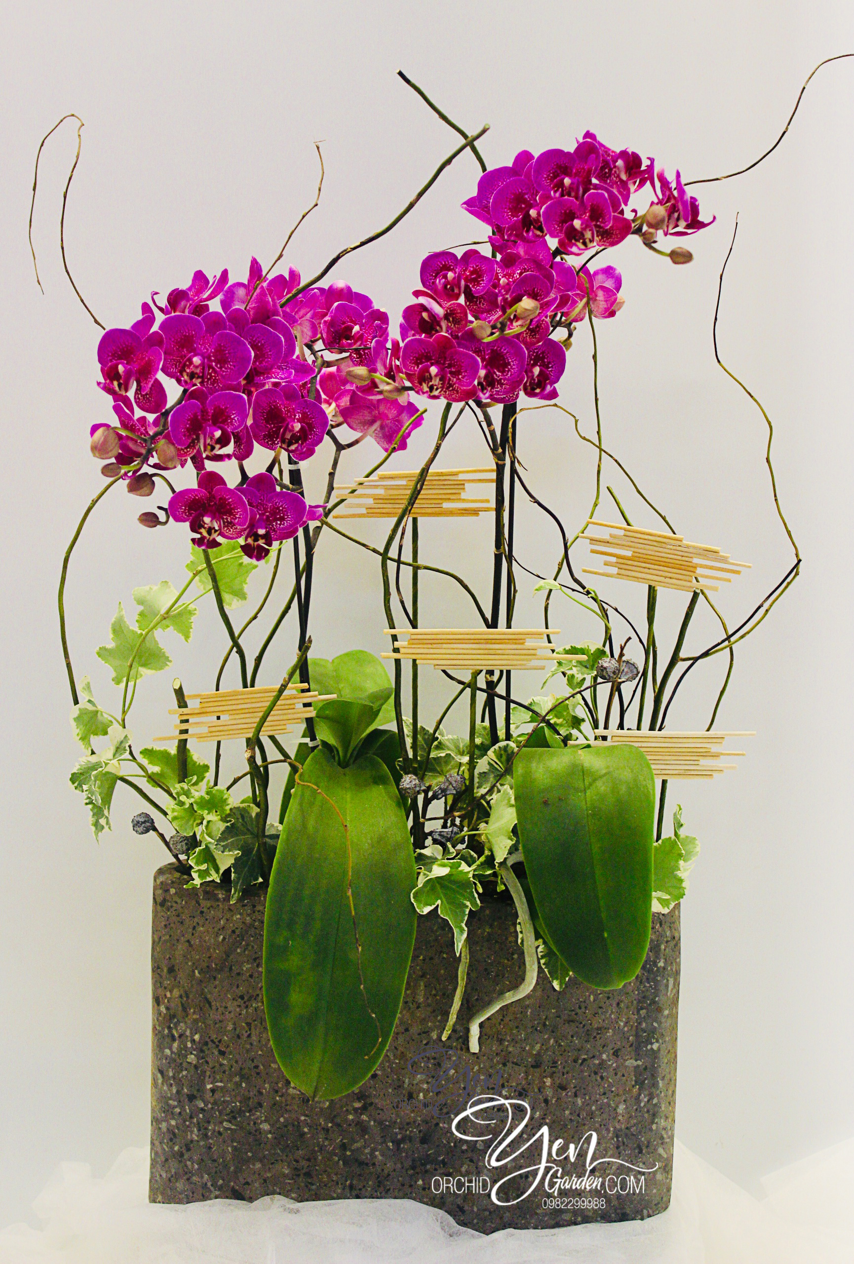 Design Orchid Gardens
